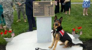 Service Dog Issued in Memory of  Rhode Island Soldier